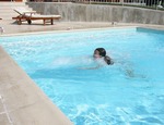 Installez un système de nage à contre-courant dans votre piscine