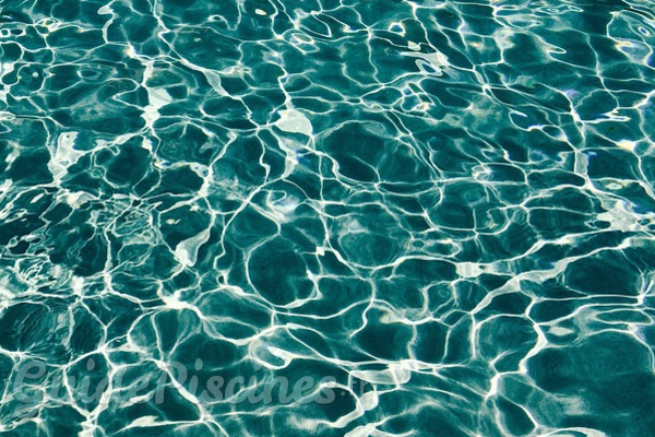 Comment rattraper l'eau verte de sa piscine ?