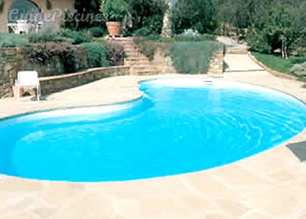 piscine avec forme libre