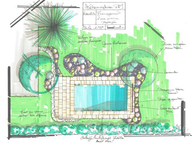 Plan-piscine-paysagée-métamorphose-piscine-jardin-paysagiste-piscinier-toulouse