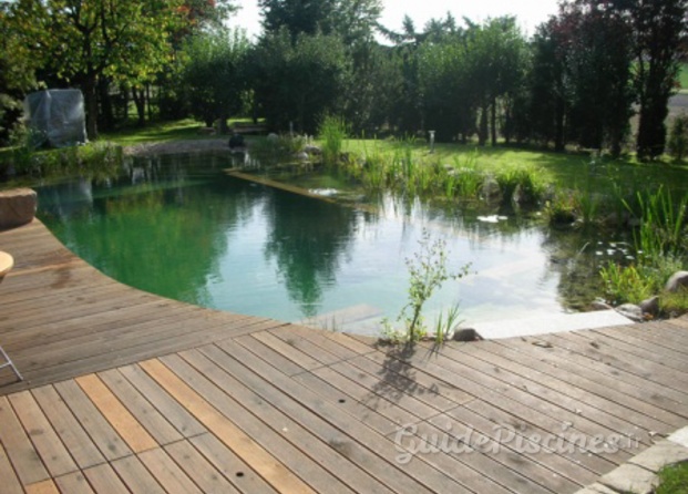 piscine naturelle avec terrass